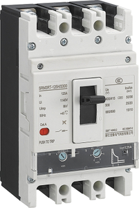 Interruttore di circuiti in modellatura regolabile TM 80A/100A/125A/160A 3P (3p+N) 0.7-1.0in